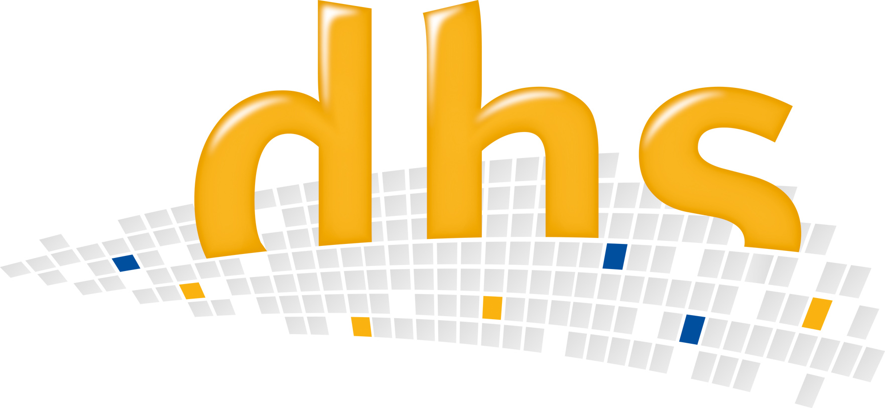 dhs Logo 3D